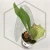 20260528_130511.webp