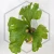20260528_131302.webp