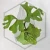 20260528_134541.webp
