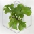 20260528_134546.webp