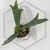 20260528_141220.webp