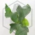 20260528_144046.webp