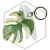 20260603_143814.webp