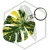 20260603_144848.webp