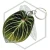 20260603_145847.webp