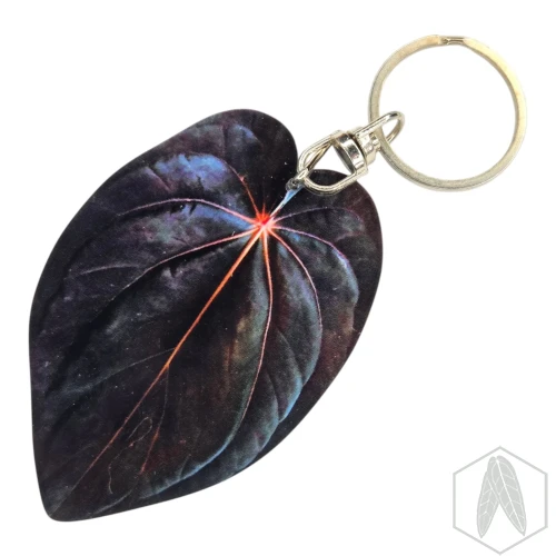 20260603_151135.webp