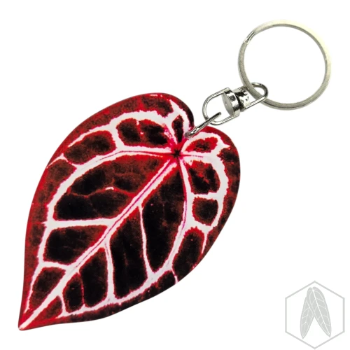 20260603_153759.webp