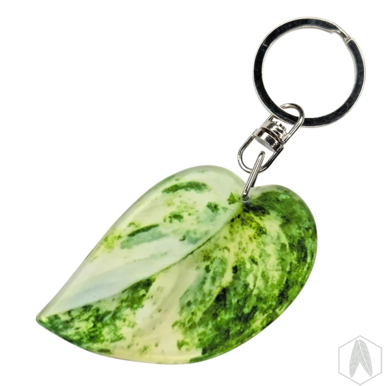 20260603_155300.webp