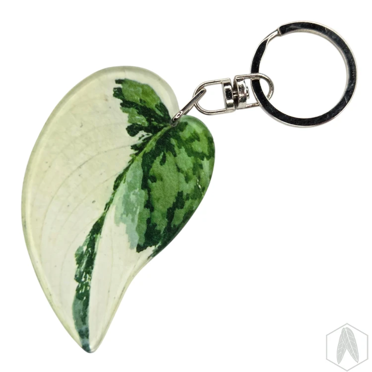 20260603_155752.webp