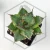 20260603_101954.webp