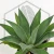20260603_102148.webp