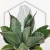 20260603_102329.webp