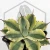 20260603_102442.webp