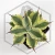 20260603_102500.webp