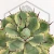 20260603_102529.webp
