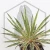 20260603_102648.webp