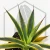 20260603_103308.webp
