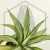 20260603_103711.webp