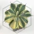 20260603_104133.webp