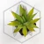 20260603_104316.webp