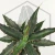 20260603_104338.webp