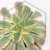20260603_105826.webp