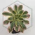 20260603_110029.webp