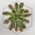 20260603_110038.webp