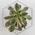 20260603_110119.webp
