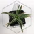 20260603_110302.webp