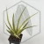 20260603_113711.webp