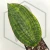 20260603_113930.webp