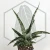 20260603_114022.webp