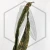 20260603_125107.webp