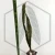 20260603_125152.webp