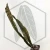 20260603_125207.webp