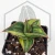 20260603_125347.webp