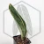 20260603_125809.webp