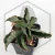 20260603_130045.webp