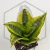 20260603_130533.webp