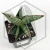 20260603_131206.webp