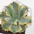 20260610_111911.webp