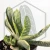 20260610_113012.webp