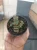 Haworthia (1).webp