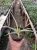 Sansevieria (30).webp