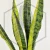 20260619_120916.webp
