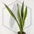 20260619_120811.webp