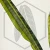 20260619_120912.webp