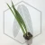 20260619_121219.webp