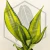 20260619_121315.webp